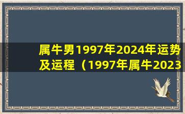 属牛男1997年2024年运势及运程（1997年属牛2023年运势及运程每 💐 月运程）